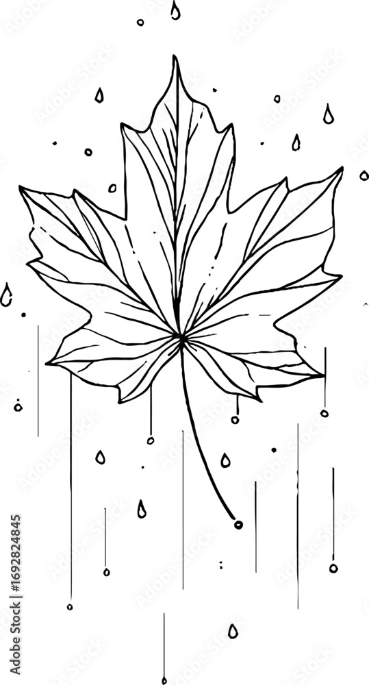 Poster minimalist line art illustration of maple leaf with abstract elements for decorative and artistic us