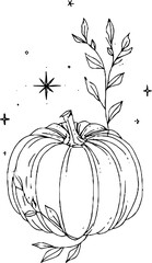 Minimalist line art illustration of pumpkin with leaves and stars for autumn decor or halloween design