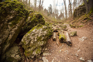 Landscape in Ojcowski National Park, Jura Krakowsko-Częstochowska, Poland
