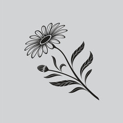 Single Stem Paper Daisy Illustration