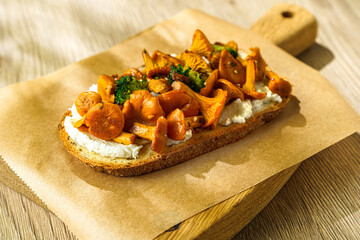 bruschetta with cottage cheese and chanterelles
