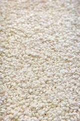 Close up photo of sesame seeds, selective focus.