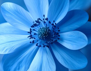 Close-up of a vibrant blue flower (1)