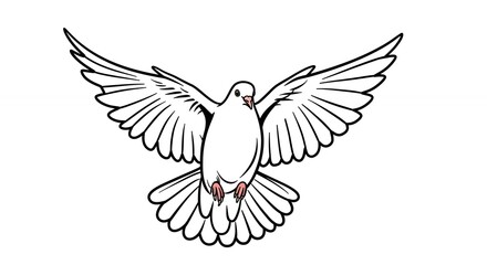 Fototapeta premium White dove in flight