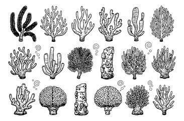 Black background for various uses, suitable for overlays or artistic projects, solid, simple, plain.