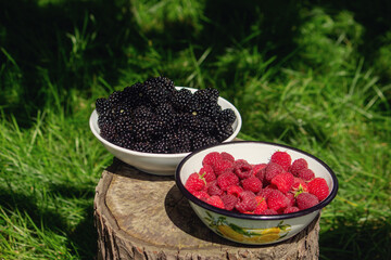 Blackberries and raspberries in a bowl on a stump in the garden