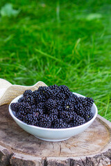 Blackberries in a bowl on a stump in the garden.