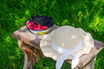 Blackberries and raspberries in a bowl on a stump in the garden