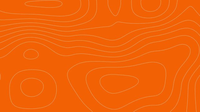 Orange topographic animated background contour line animation