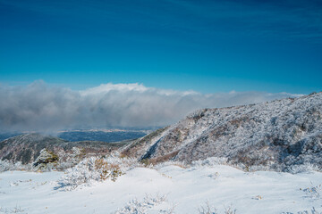 Cloud-covered landscape from Eorimok Trail in Hallasan, Jeju during winter