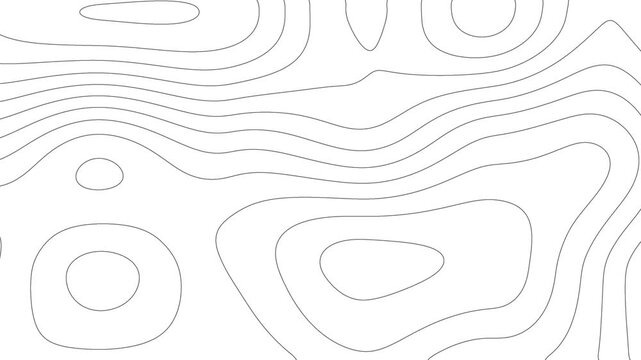 white topographic animated background contour line animation	