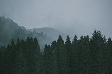 Naklejka premium fog in the mountains