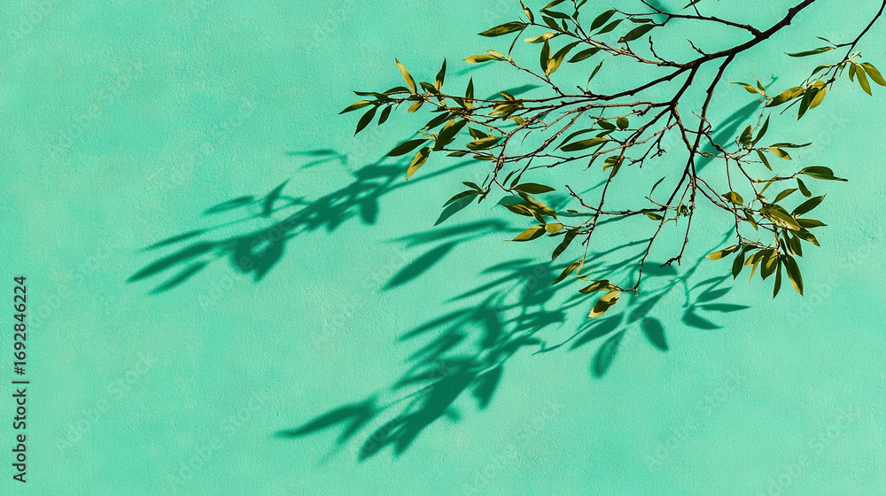 Poster a tree's branch casting shadows on a blue wall with two green walls in the background