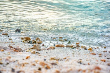 Crystal clear water meets a rocky beach at sunset. Perfect natural background for travel brochures, wellness ads, or summer-themed web design.