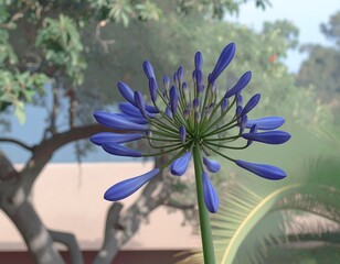 Close-up of a vibrant purple flower