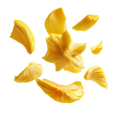 Naklejka premium Jackfruit slice falling floating over water PNG