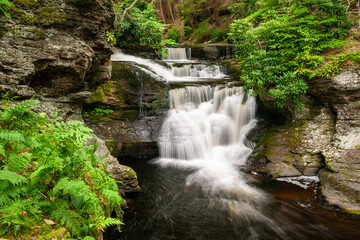 Obraz premium Lush green rhododendrons surround Upper Dingman's Falls waterfall in summertime in the Delaware Water Gap region of Pennsylvania