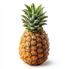 Fototapeta premium Pineapple: A Classic Tropical Fruit, Whole and Isolated on White