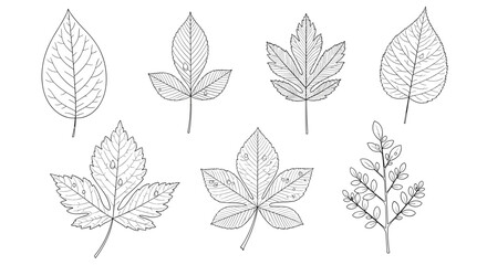Collection of various types of falling autumn leaves rendered in a textured dot art style