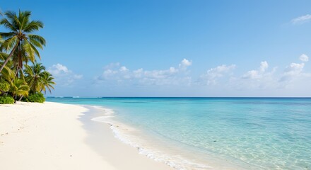 Tropical beach scenery