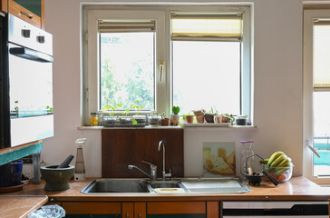Busy Kitchen Sink with Garden View