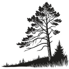 Minimalist monochrome pine tree silhouette perfect for nature and winter themes