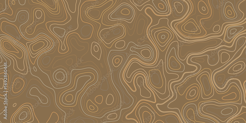 Poster geographic contour line pattern – map-inspired design element