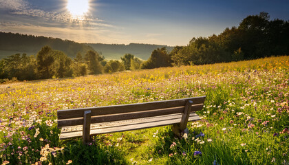 Naklejka premium Wooden Bench In Wildflower Meadow