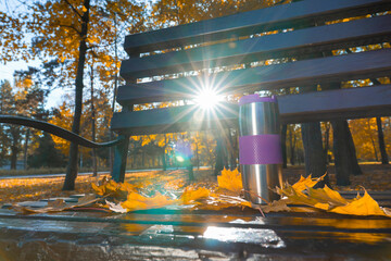 A stainless steel thermos mug with a purple insert stands on a park bench, surrounded by golden maple leaves with bright sun rays in the background