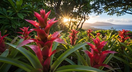 Tropical Blossoms Sunrise View
