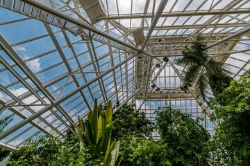 Fototapeta premium garden