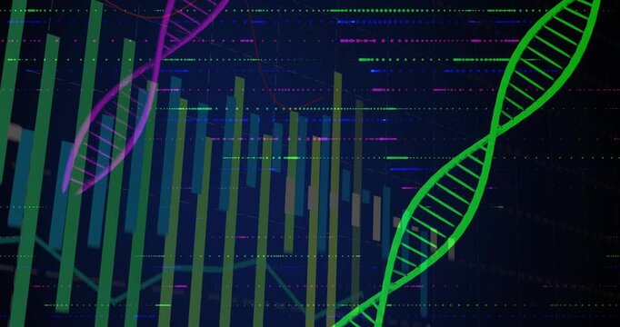 Dark grid initiating data visualization with green and magenta helices rising and bars fluctuating - Powered by Adobe