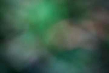 TEXTURAS Y FONDOS FOTOGRAFIA