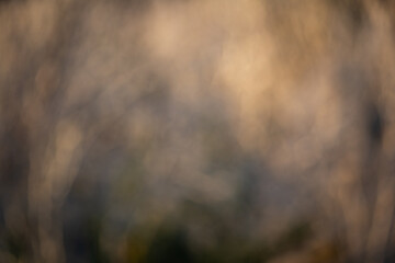 TEXTURAS Y FONDOS FOTOGRAFIA