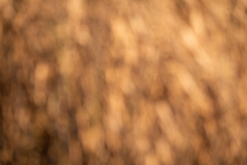 TEXTURAS Y FONDOS FOTOGRAFIA