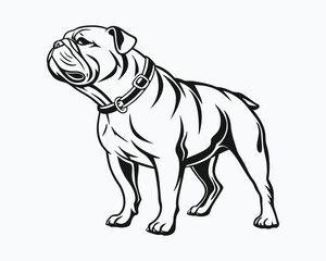 Bulldog standing Design Svg
