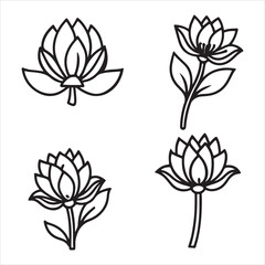 A Detailed Close-up of Aconite, a Beautiful but Perilous Flower Known as Monkshood with a Distinctive Purple, Hood-Shaped Bloom