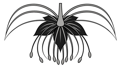 Minimalist Black and Grey Gradient Bat Flower Tacca Chantrieri Vector Illustration