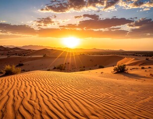 Desert sunset landscape