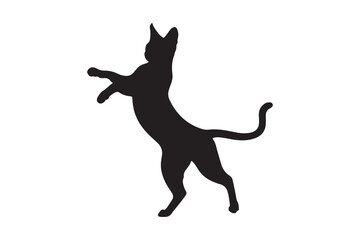 Black silhouette of a cat reaching upwards