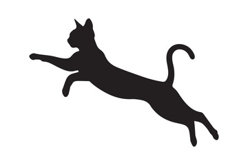 Silhouette of a black cat in mid air jump