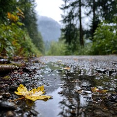Fototapeta premium A single, vibrant yellow leaf rests in a puddle on a wet, gravel road, surrounded by lush greenery and misty mountains