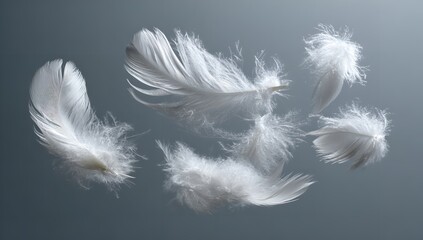 Obraz premium Soft delicate feathers suspended midair on gray backdrop, ethereal scene representing freedom, grace, serenity, and calm atmosphere