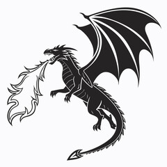 black and white dragon