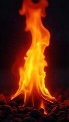 Intense, vibrant flame casting a bright, warm light against a dark background Perfect for themes of energy, passion, or fire safety , passion, shadow