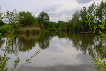 Fototapeta premium A calm body of water with a smooth, mirror-like surface, reflecting trees and reeds on its bank. Clouds are reflected against a gray sky, creating an atmosphere of peace and serene natural harmony, wi