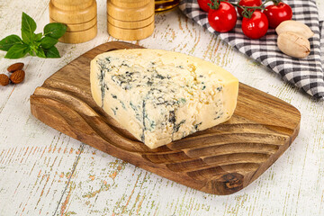 Gourmet blue cheese with mold