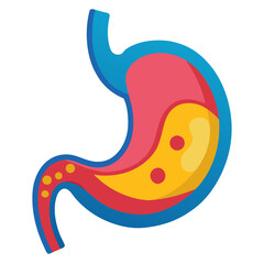 Vibrant and detailed illustration of a human stomach, perfect for medical, educational, and health-related projects; ideal for brochures, websites, and presentations.