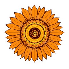 Vibrant orange sunflower with intricate central mandala pattern and radiating petals on a white background
