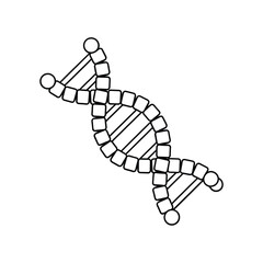 Simple hand drawn illustration of a dna double helix structure